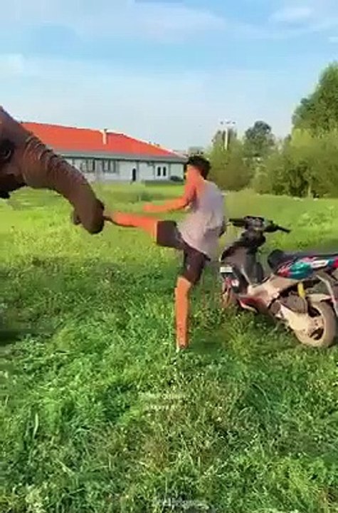 Elephant ne apna Malik ka har kam krta hii