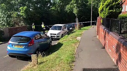 Man dies in Firth Park stabbing