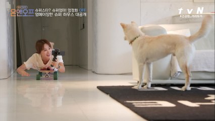 시크한 진돗개 ′슈퍼′를 향한 정화의 짝사랑