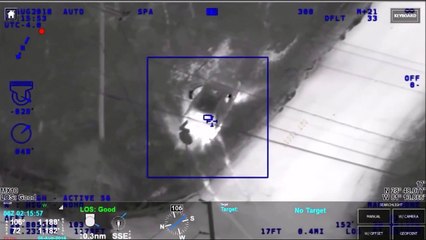 Regardez qui aide la police à stopper une voleuse de voiture