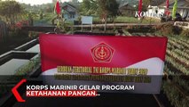 Korps Marinir Gelar Serbuan Teritorial Demi Ketahanan Pangan