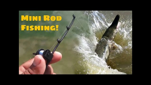 Micro Fishing Rod Challenge!