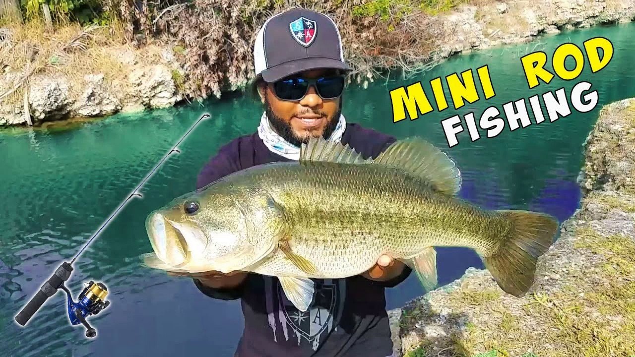 Mini Rod Catches Massive Bass Road Side Fishing Challenge!