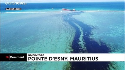 'Environmental emergency' declared in Mauritius over bulk carrier oil leak