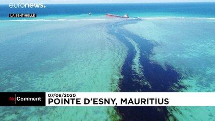 'Environmental emergency' declared in Mauritius over bulk carrier oil leak