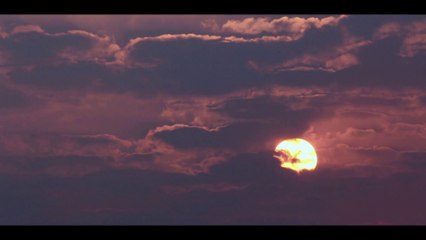 WARLI  PAINTING ''The vivid expression of daily life''