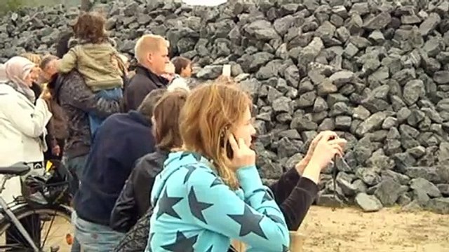 Vil aflive hvalen | Finhvalen | Vejle | 19-06-2010 | TV SYD @ TV2 Danmark