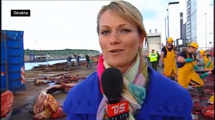 Hvalen parteres | Finhvalen | Vejle | 21-06-2010 | TV SYD @ TV2 Danmark