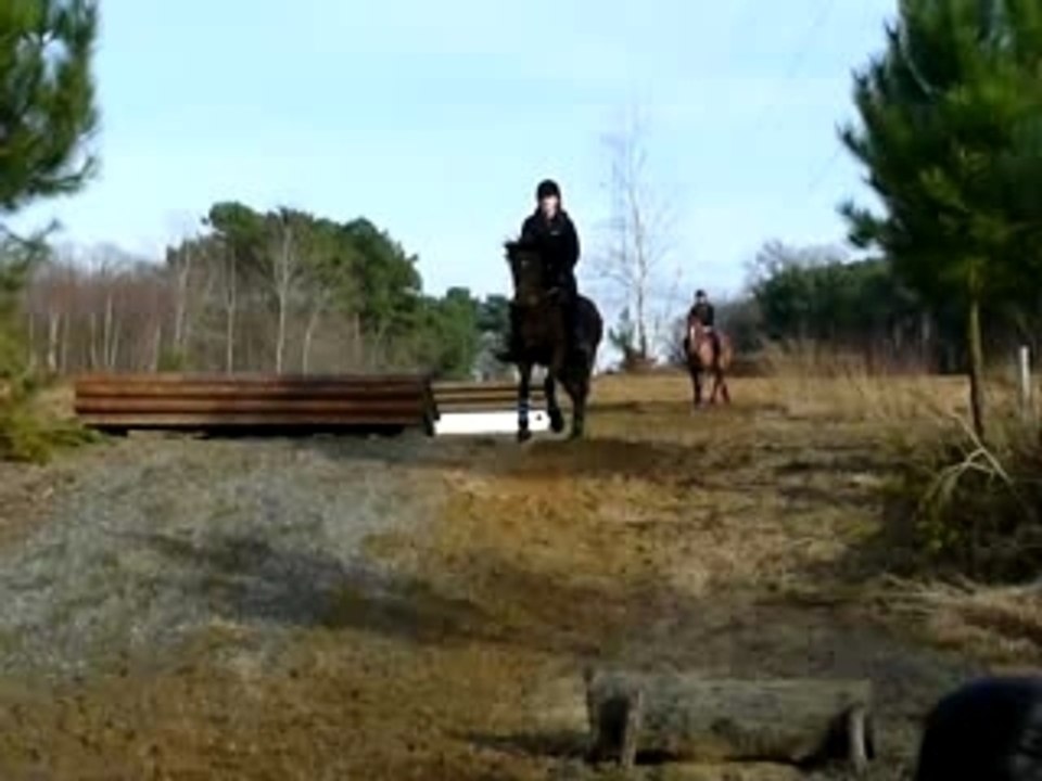 Sans peur et zado