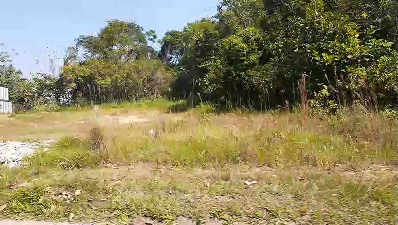 [SBEG Spotting]Boeing 767-300ER PT- MSO na final antes de pousar em Manaus vindo de Guarulhos(08/08/2020)