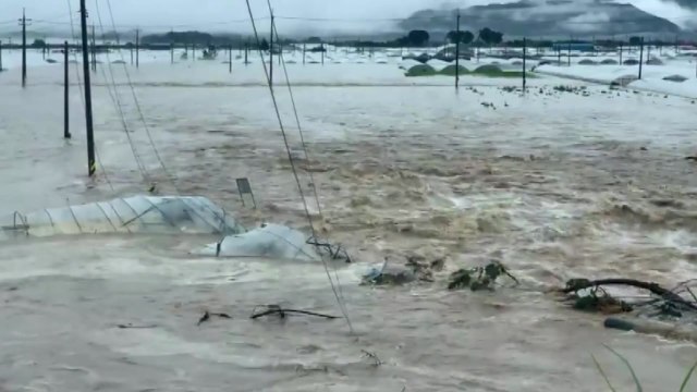 중부 다시 폭우, 500mm 이상...태풍 '장미'도 북상 / YTN