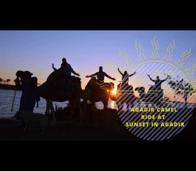Amazing and romantic camel ride at sunset in Agadir.