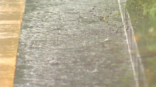 [날씨] 중부 모레까지 500mm 호우...태풍 '장미'도 북상 / YTN