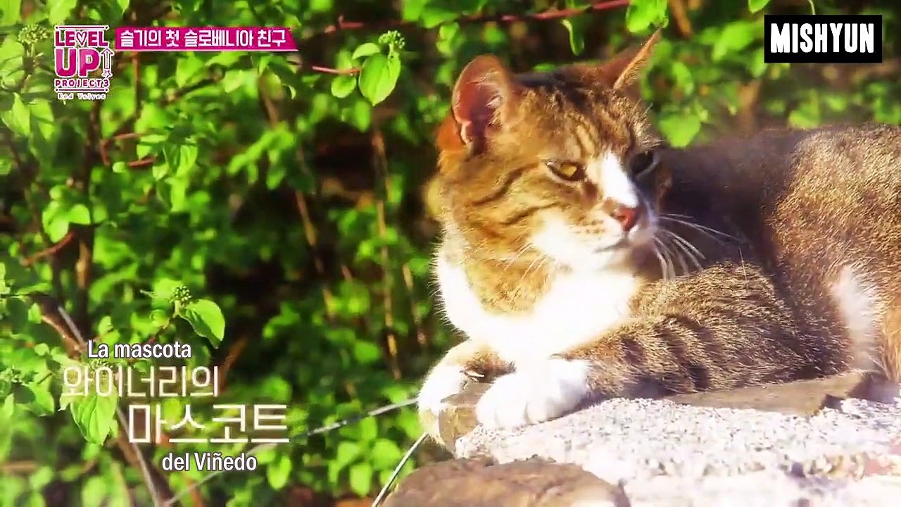 [SUB ESP] Red Velvet - Level Up Project Season 3 Ep. 25 - Vídeo Dailymotion