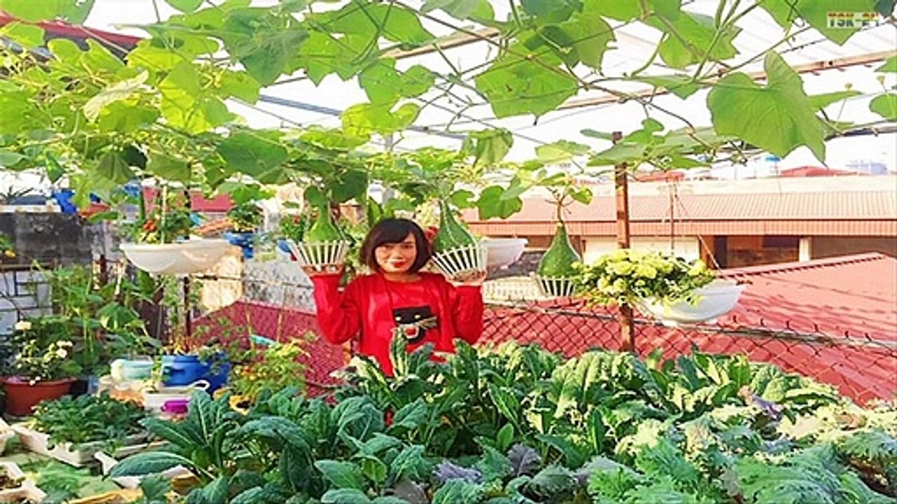 [STRANGE] Easy to grow vegetables and fruit on the terrace at home