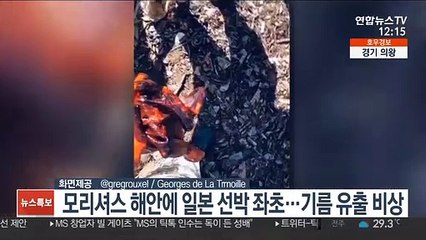 모리셔스 해안에 일본 선박 좌초…기름 유출 비상