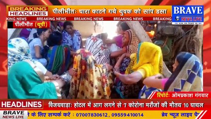 पीलीभीत: चारा काटने गये युवक को सर्प ने डसा, हुयी मौत | BRAVE NEWS LIVE