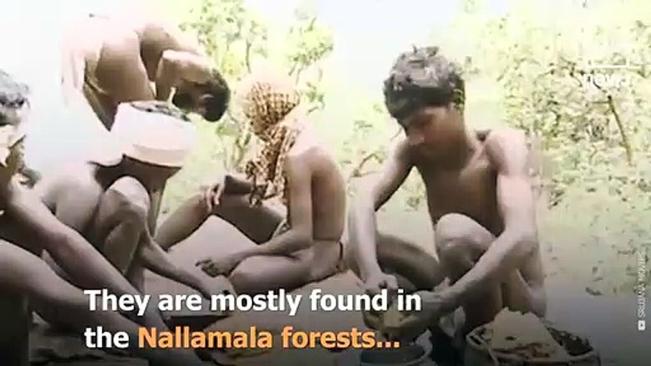 This is everything you need know about the Chenchu Tribe