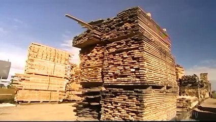 How Its Made - 238 Bent Hardwood