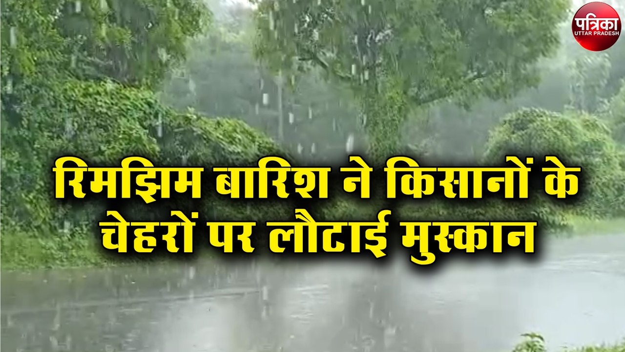 रिमझिम बारिश ने किसानों के चेहरों पर लौटाई मुस्कान
