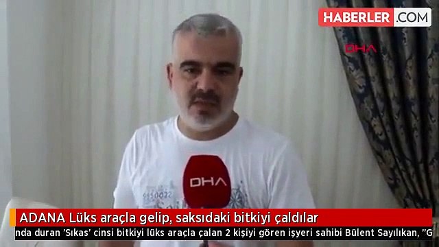 ADANA Lüks araçla gelip, saksıdaki bitkiyi çaldılar