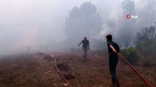 Aydos Ormanında yangın çıktı. Olay yerine itfaiye ekipleri sevk edildi