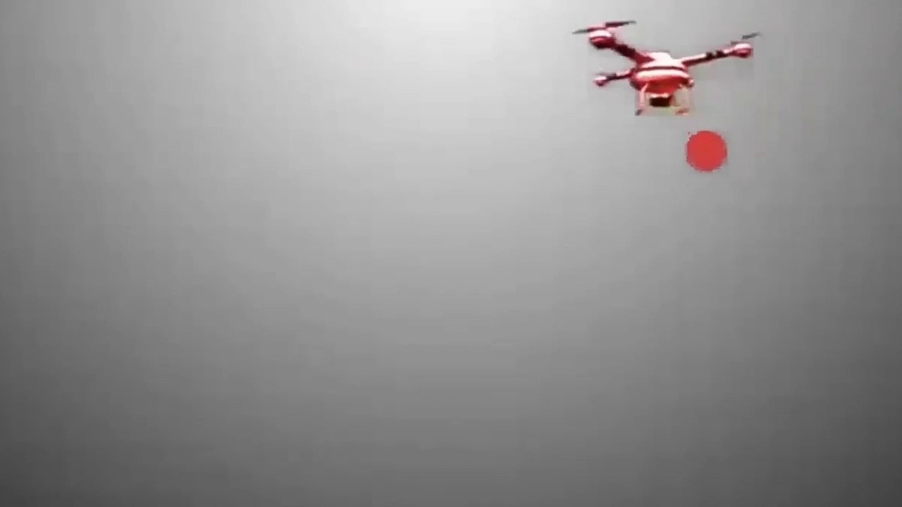 Why we should not eat meat?  Are human herbivores or carnivores ?