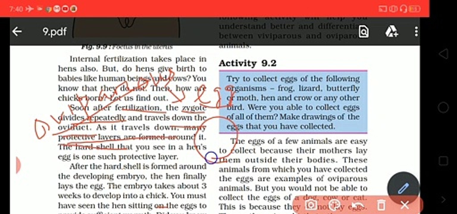 Development of Embryo - Reproduction in animals (CBSE Grade 08 Biology
