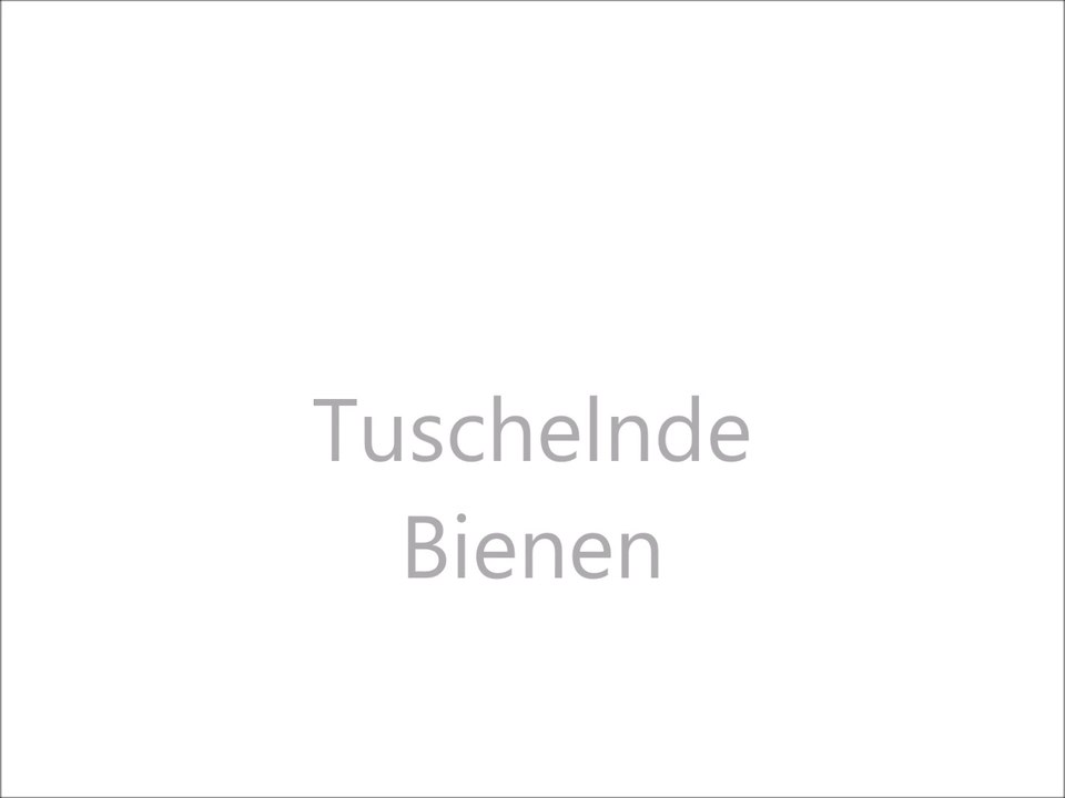 Mrs. Biens - tuschelnde Bienen