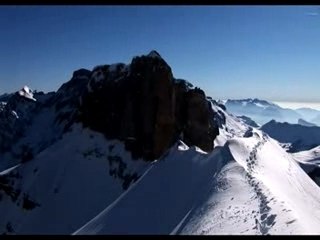 le taillon