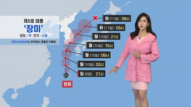 [날씨] 서울·경기 지역 밤사이 집중호우...내일 태풍 '장미' 북상 / YTN