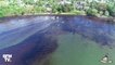 Île Maurice: de nouvelles images filmées par drone montrent l'étendue de la marée noire sur les côtes