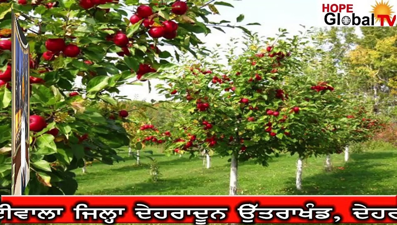 Morcha Guru Ka Bagh,  ਗੁਰਦੁਆਰਿਆਂ ਦਾ ਪ੍ਰਬੰਧ ਤੇ ਪ੍ਰਬੰਧਕ, ਮੋਰਚਾ ਗੁਰੂ ਕਾ ਬਾਗ