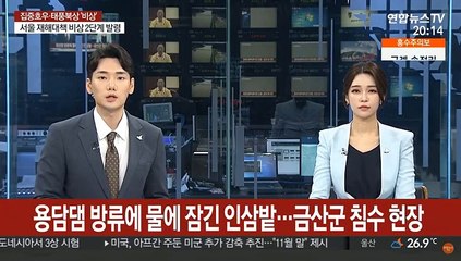 용담댐 방류에 물에 잠긴 인삼밭…금산군 침수 현장