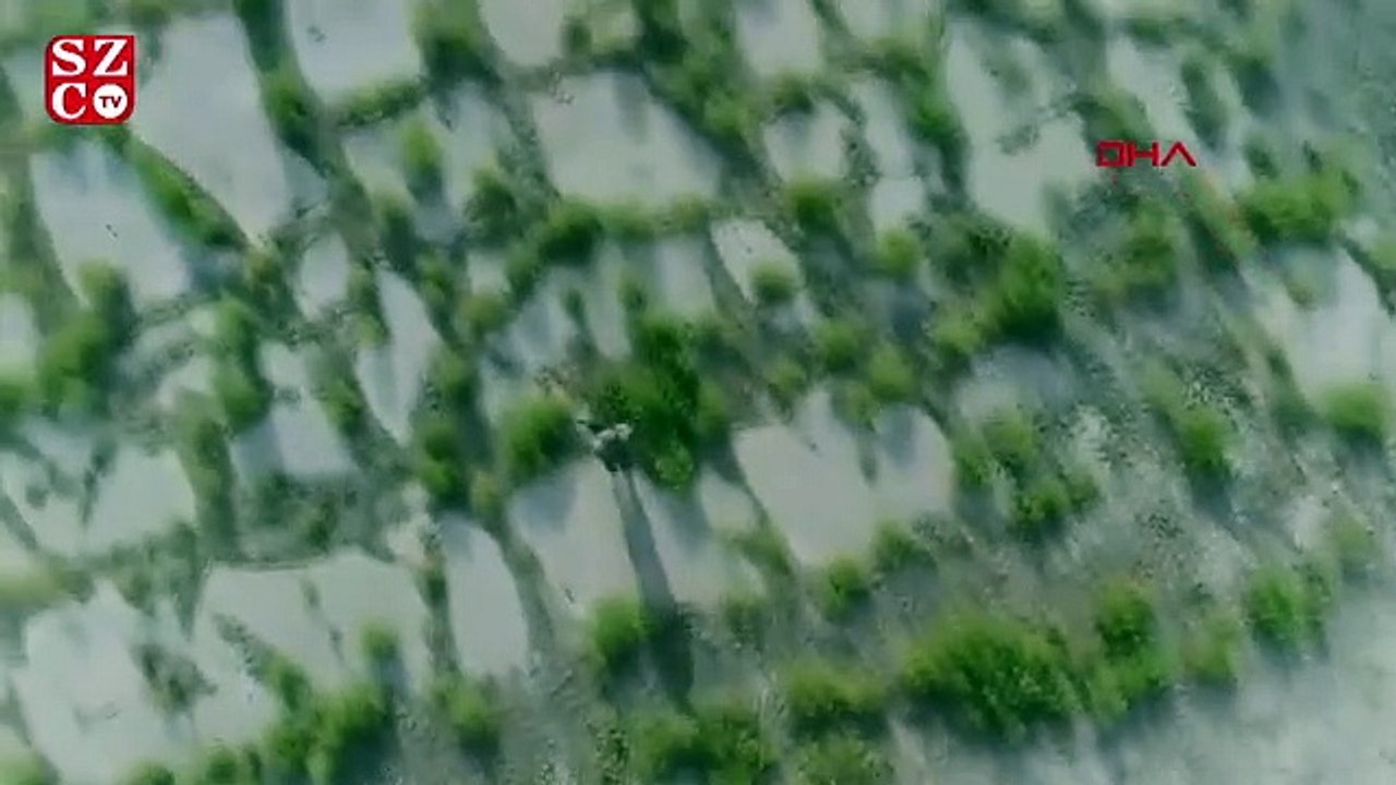 MSB: TurAz Kartalı Tatbikatı hız kesmeden devam ediyor