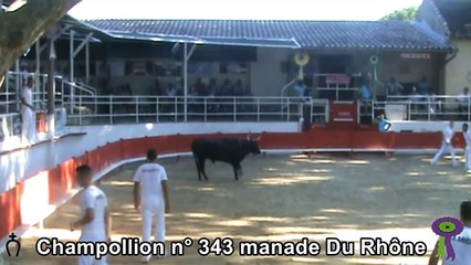 2020 07 26 Champollion