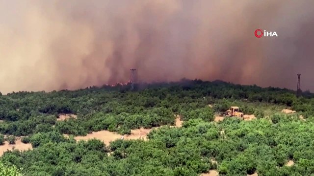 Elazığ’daki orman yangını kontrol altına alınmaya çalışılıyor