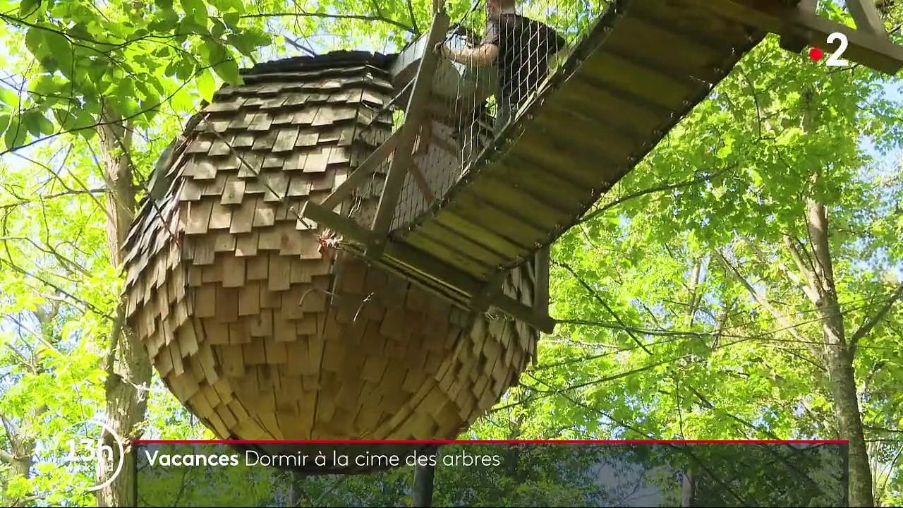 Oise : des vacances dans les arbres