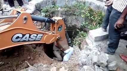 3 घंटे की मशक्कत के बाद दो नंदियों को बचाया सिपाही ने