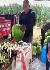 Best next level faming tricks