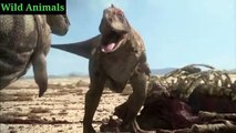 Egg_Big Egg_Dinosaur Cannibalism | Planet Dinosaur|Wild Animals |Extinct animals
