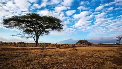 Maasai Life Through A Child's Eyes