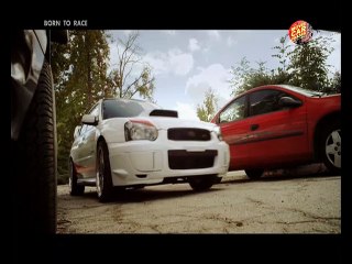 Born To Race (2011)