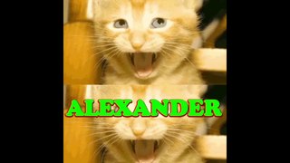 Happy Birthday Alexander - Alexander's Birthday Song - Alexander's Birthday Party