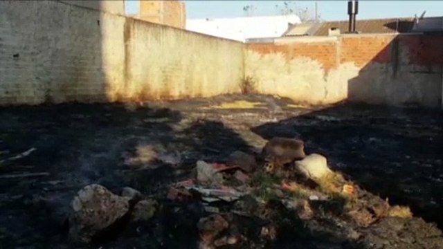 Incêndio ambiental mobiliza bombeiros ao Bairro Canadá