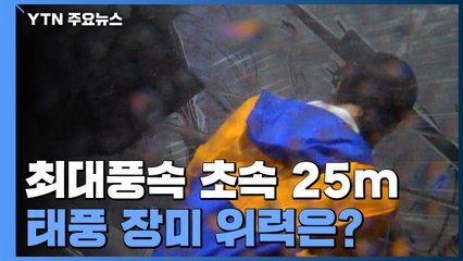 [앵커리포트] 최대풍속 초속 25m...태풍 장미 위력은? / YTN