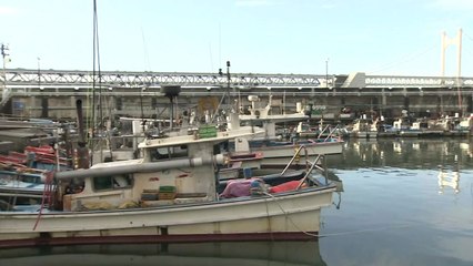 태풍 북상 소식에 긴장감 감도는 부산...비바람 피해 주의 / YTN