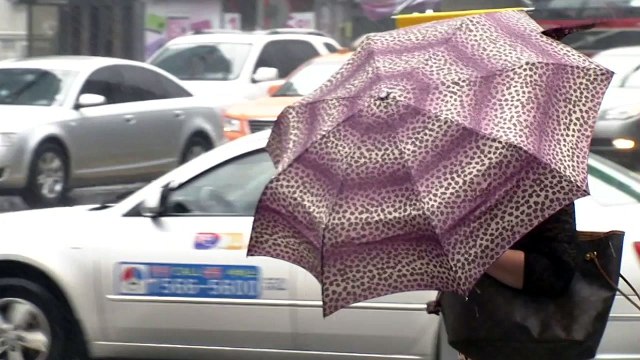 5호 태풍 '장미' 북상...현재 위치와 태풍 강도는? / YTN