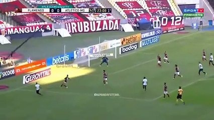 Flamengo vs Atlético Mineiro (0x1)