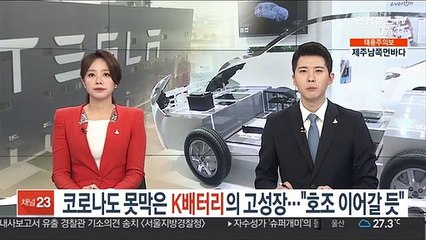 코로나도 못막은 K배터리의 고성장…"호조 이어갈 듯"